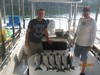 (08/09/2017) - Nice Striped Bass